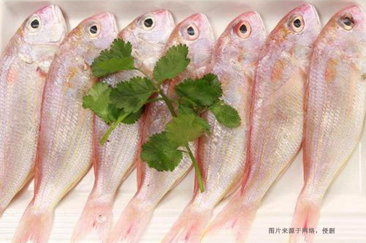 巴基斯坦金線魚(yú)進(jìn)口報(bào)關(guān)資料